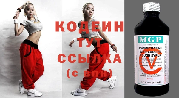 хмурый Арсеньев