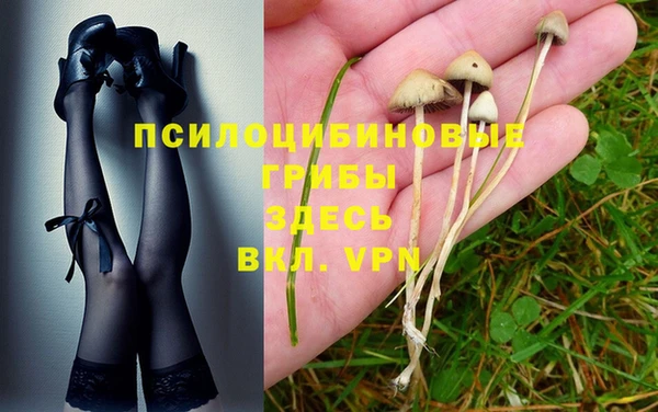 хмурый Арсеньев