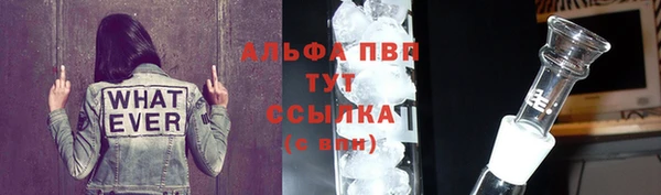 хмурый Арсеньев