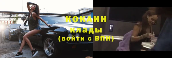 хмурый Арсеньев