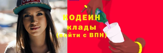 хмурый Арсеньев