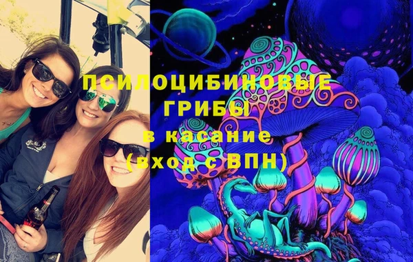 хмурый Арсеньев
