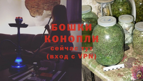 хмурый Арсеньев
