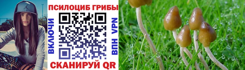 Псилоцибиновые грибы ЛСД  Купить где  Старая Русса 
